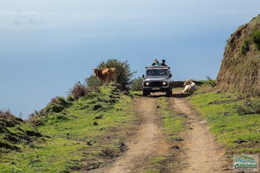 O melhor passeio de jipe no Sul da Madeira saindo do Funchal